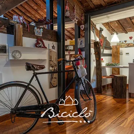 Biciclo' Citta *