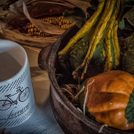 Biciclo' Citta フェラーラ